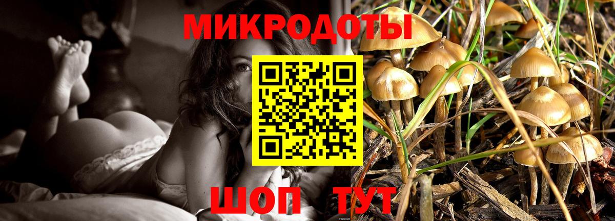 Галлюциногенные грибы ЛСД  Вход с VPN  хочу наркоту  Выборг 